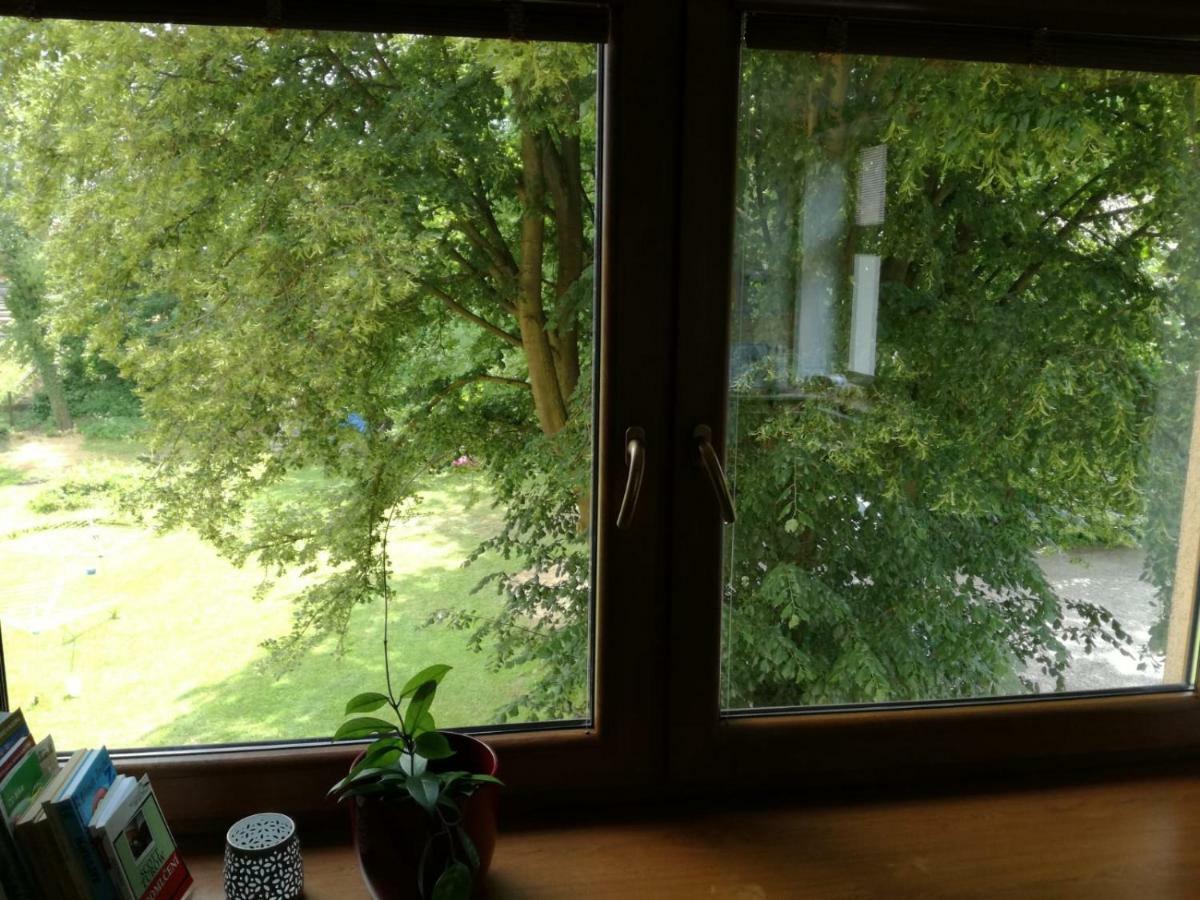 Apartman U Horynu - Sadova Ceska Trebova Buitenkant foto